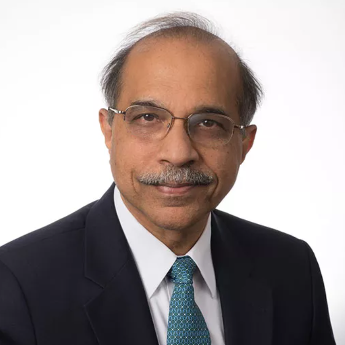 Prof. Ravi Ramamurti